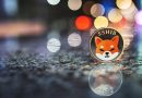 Shiba Inu Loses Crucial Level as Shytoshi Kusama Steps Down